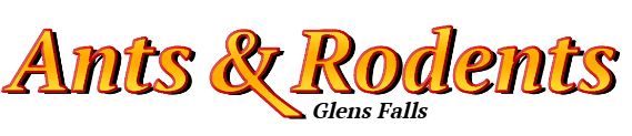 Glens Falls Ant Exterminator & Rodent Control Company Logo